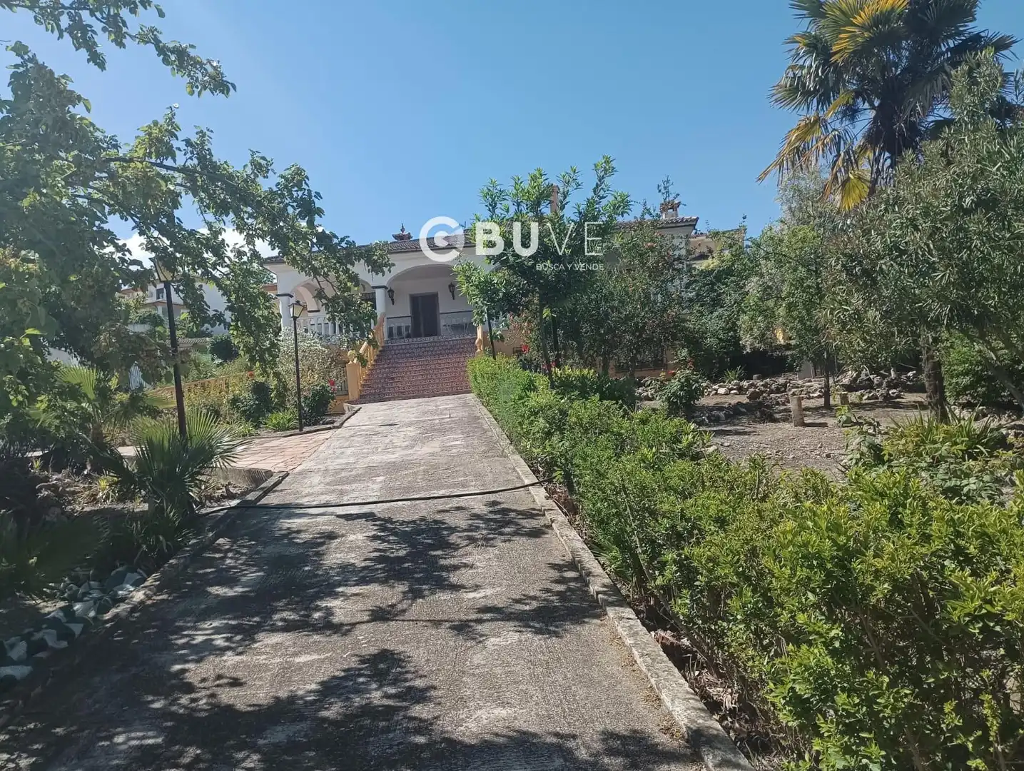 Exterior view of Houses for sale in Rute  with Terrace, Storage room and Swimming Pool