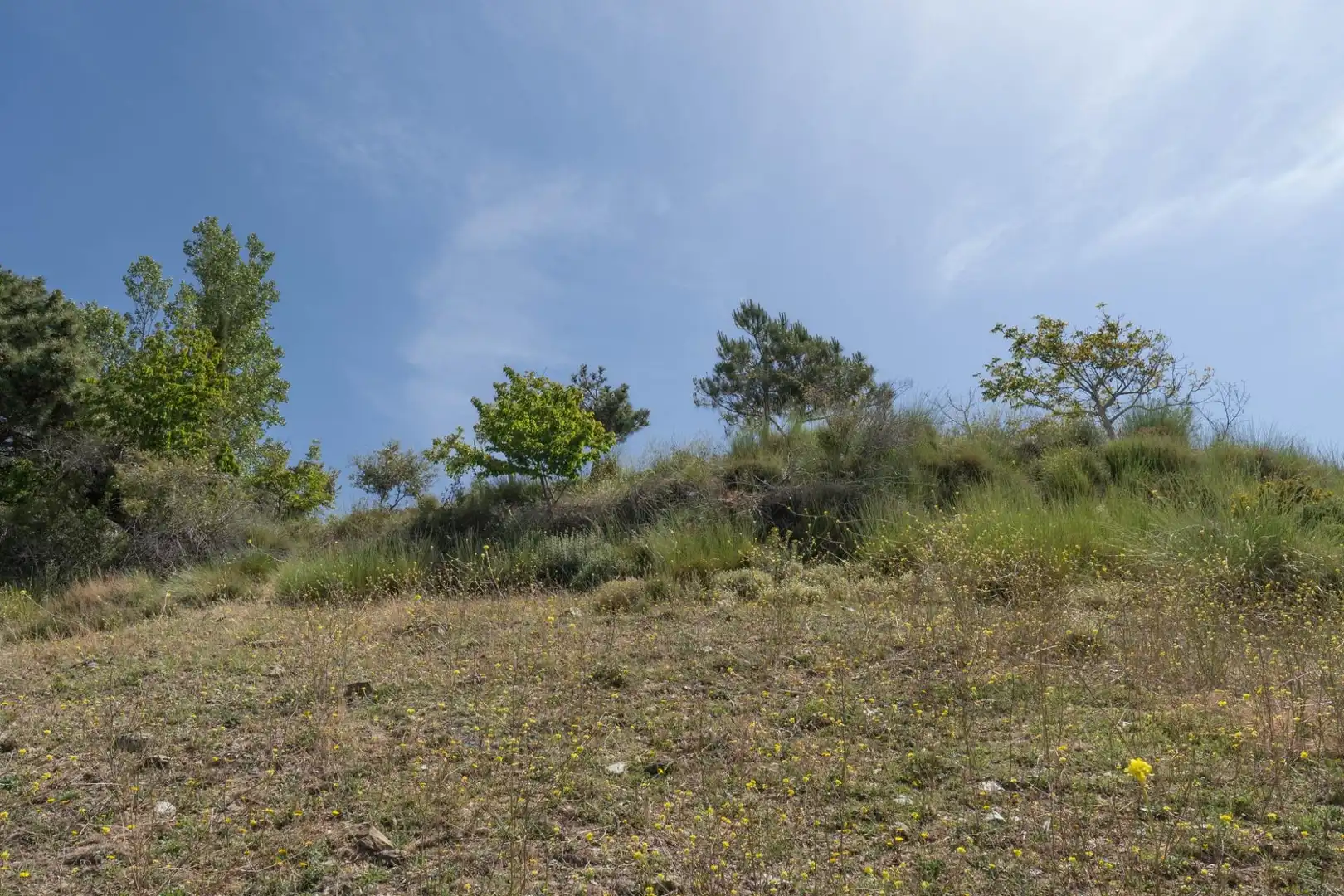 Terreno en venta en Soportújar