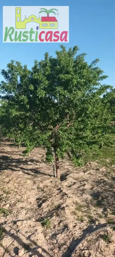 Terreni e lotti in vendita a Sevilleja, imagen 19