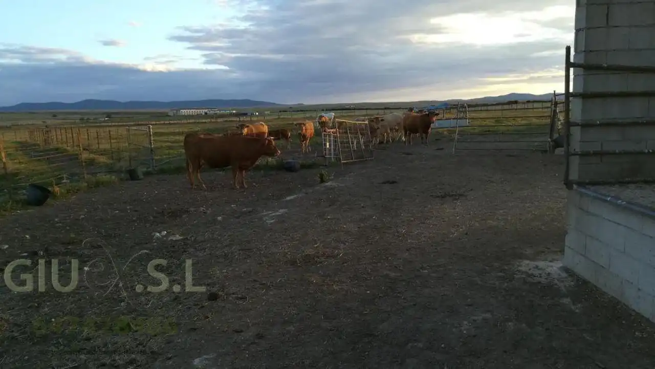 Terreni e lotti in vendita a Valdesalor - Rincón de Ballesteros, imagen 12