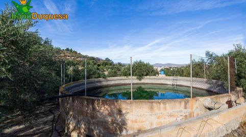 2 Fincas rústicas con mas de 15.000 m2 en total. En Pinos del Valle VENTA JUNTAS o SEPARADAS, imatge 4