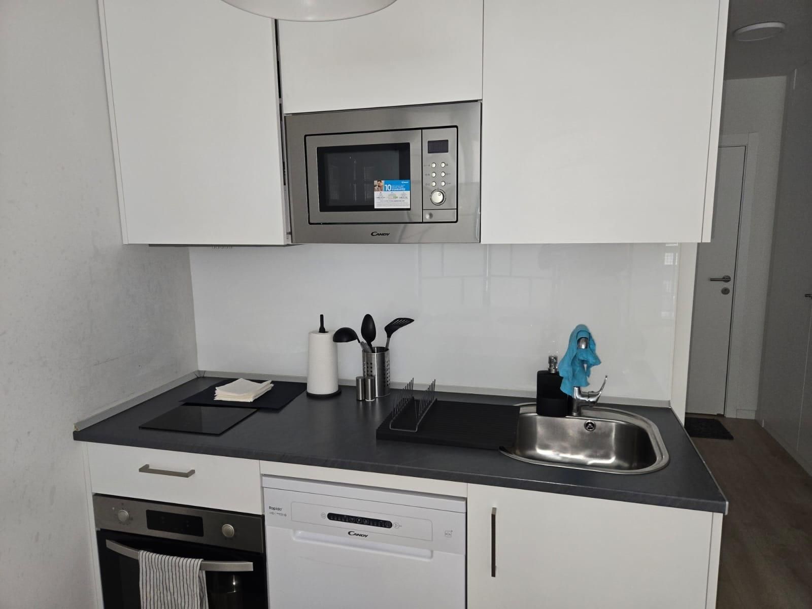 Cuina de Loft de lloguer en  Madrid Capital amb Aire condicionat, Terrassa i Balcó