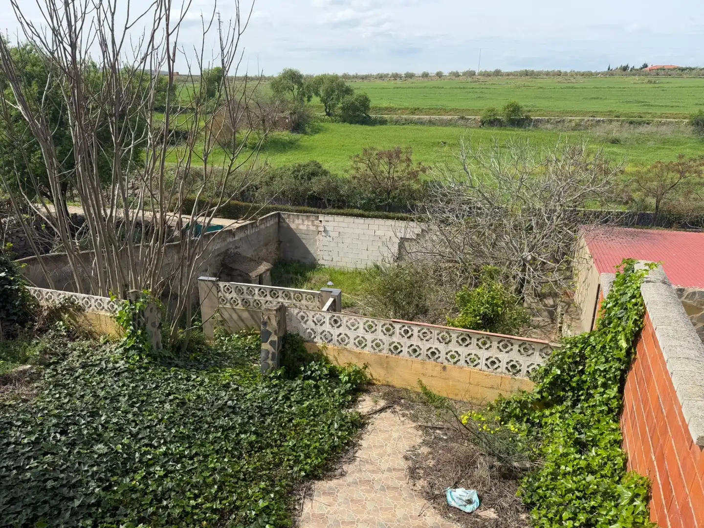 Detached homes for sale in Almendral