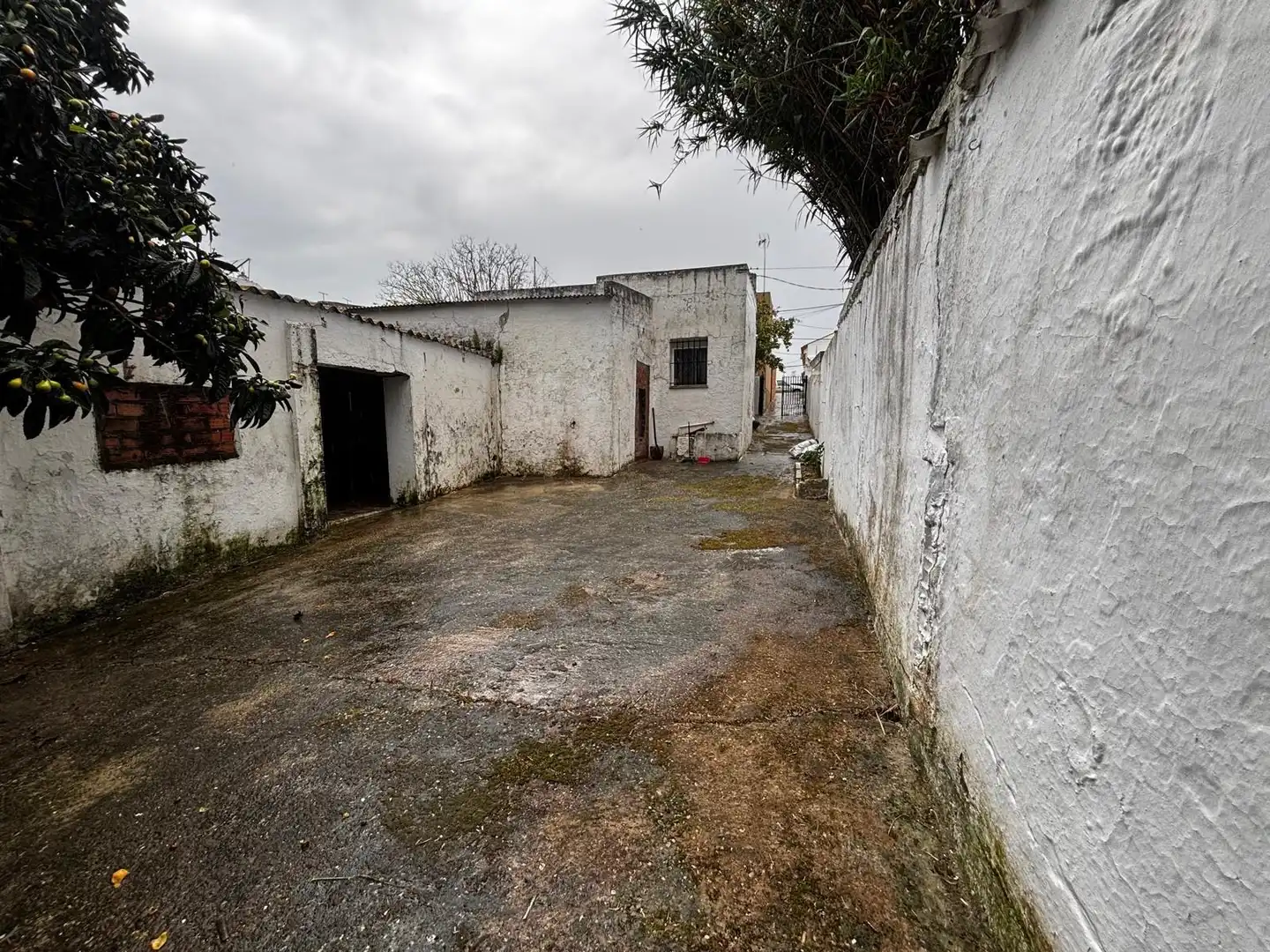 Vista exterior de Casa o xalet en venda en Chiclana de la Frontera