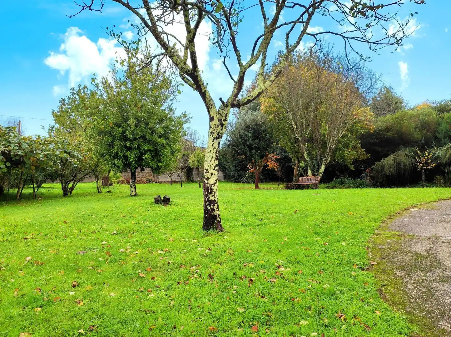 Xalet amb jardí en venda a Camino Sada Armuño, imagen 108