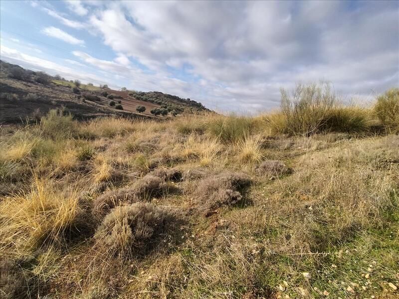 Residencial en venda a GUINDALERA, POLIGONO 9 PARCELA 5119, Anchuelo