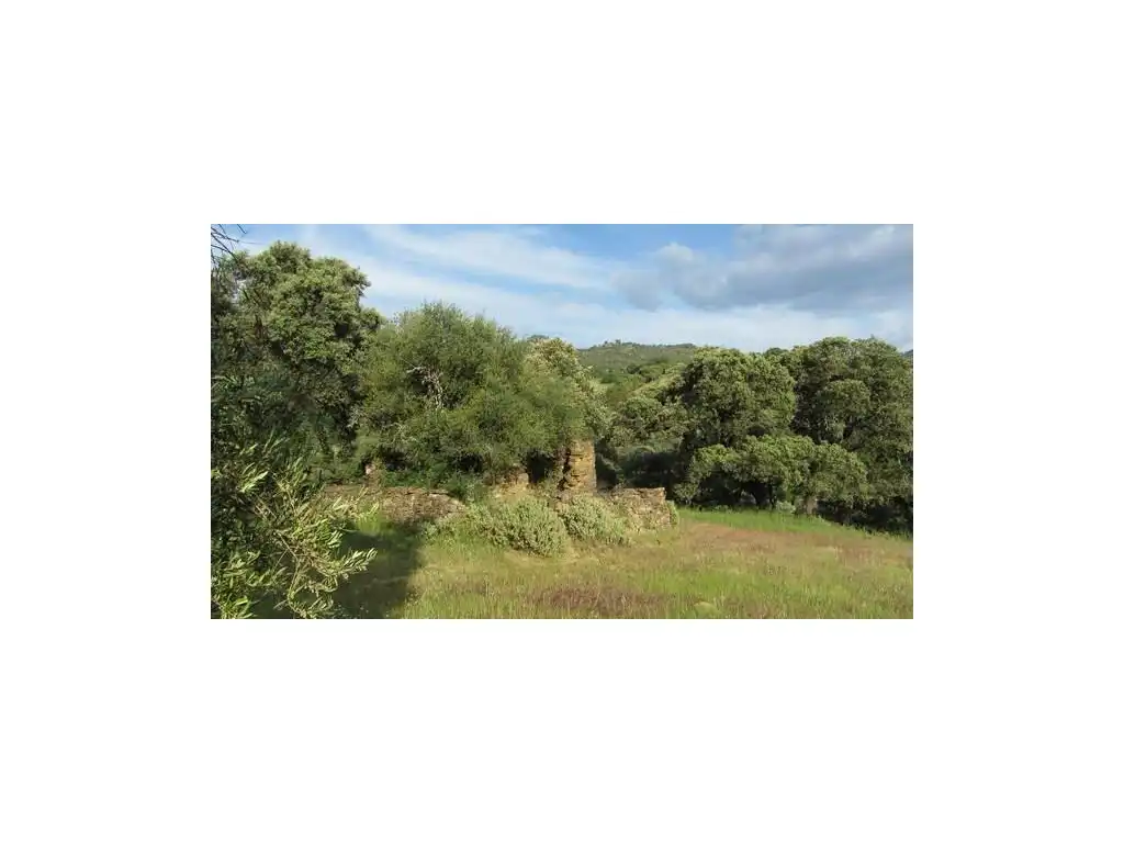 House for sale in Gaucín, imagen 5