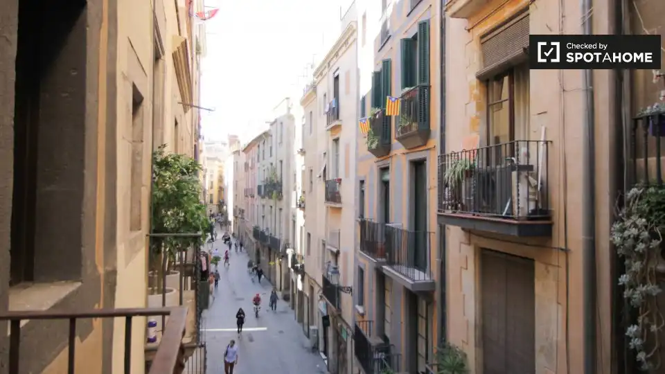 Piso con terraza en alquiler en Ciutat Vella, imagen 11