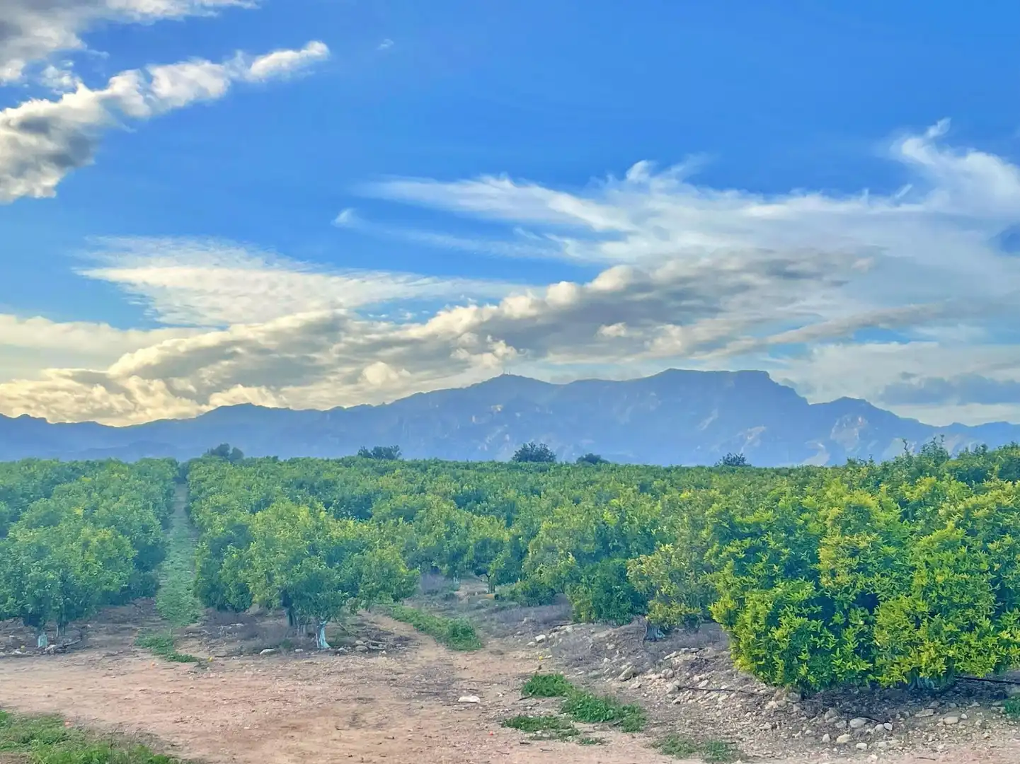 Casa o chalet en venta en Tortosa