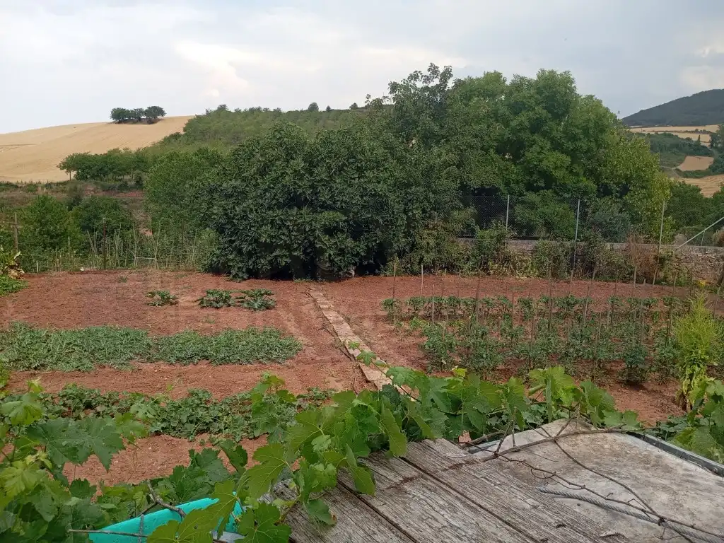 Terreno residenziale in vendita a Estollo, imagen 2