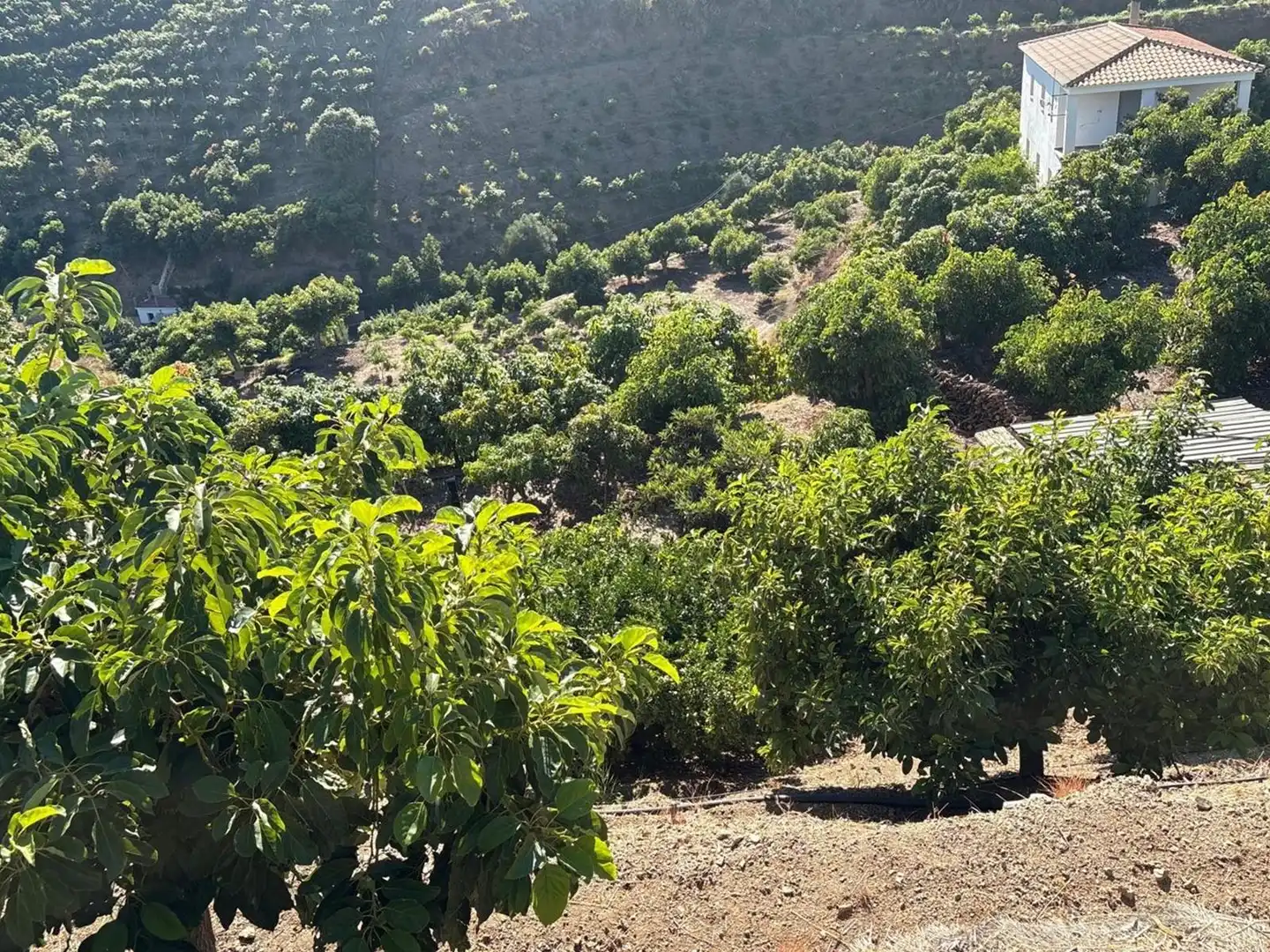 Casa en venta en Vélez-Málaga ciudad, imagen 2