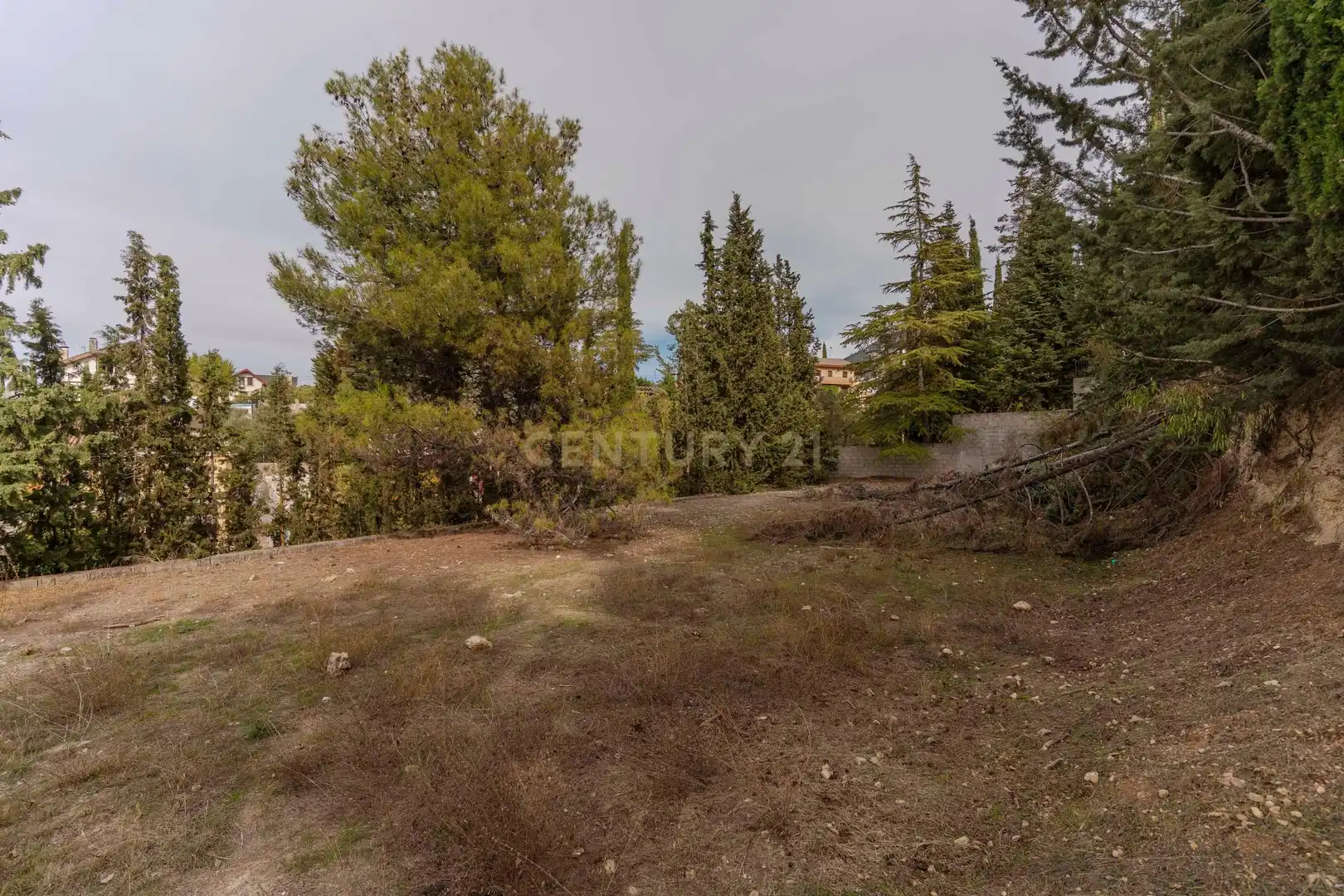 Casa o xalet en venda en La Zubia amb Jardí privat i Traster