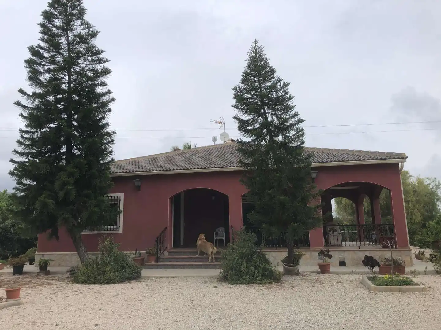 Vista exterior de Casa o chalet en venta en Callosa de Segura con Jardín privado y Amueblado