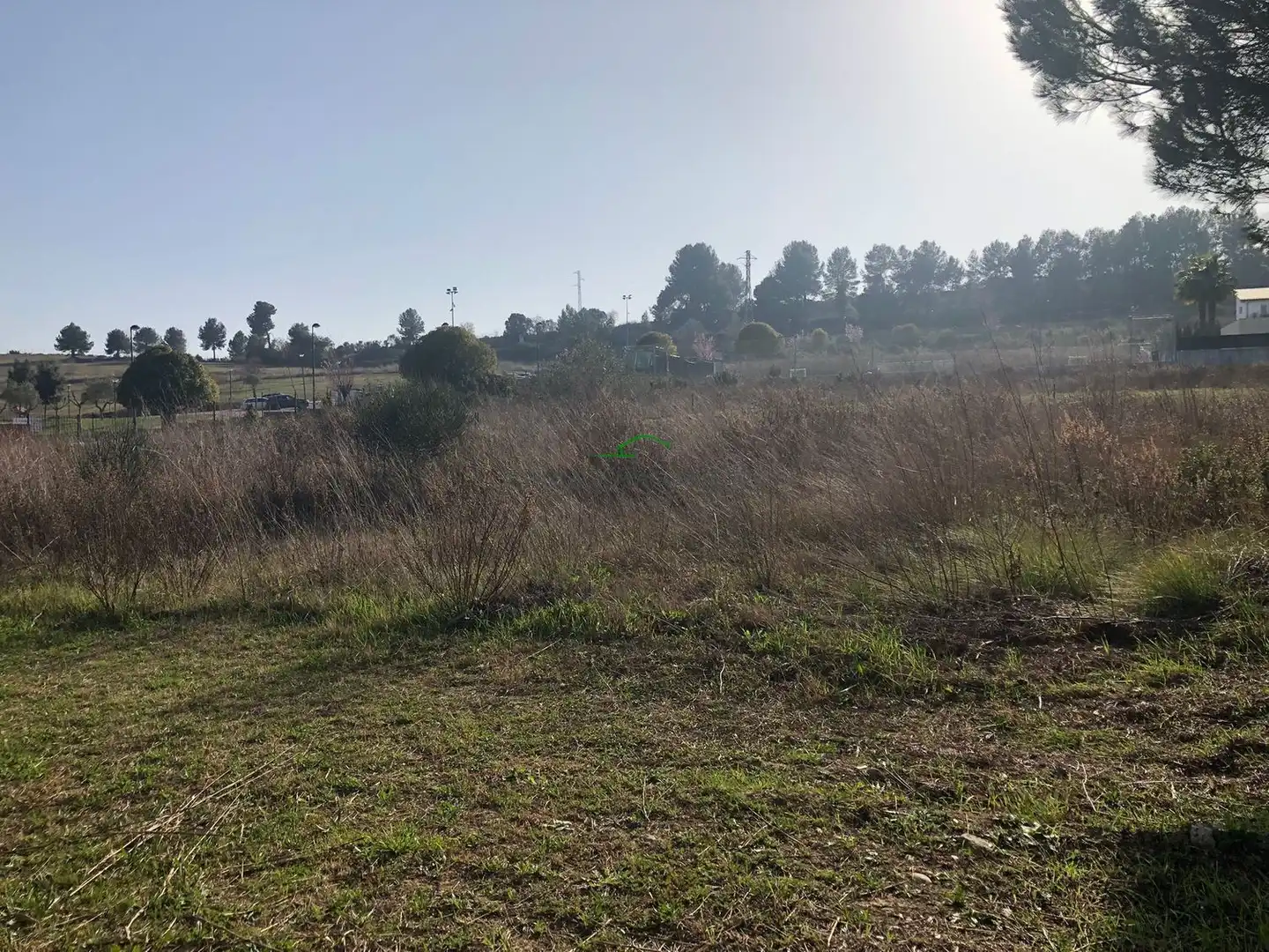 Land for sale in MONTSANT S/N, 2, Sant Esteve Sesrovires