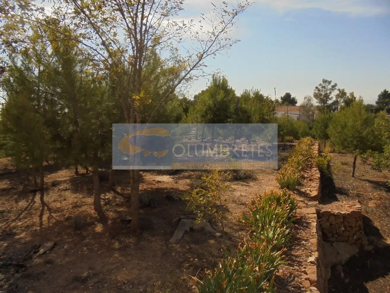 Casa o chalet en venta en Castellón de la Plana / Castelló de la Plana con Jardín privado, Terraza y Trastero