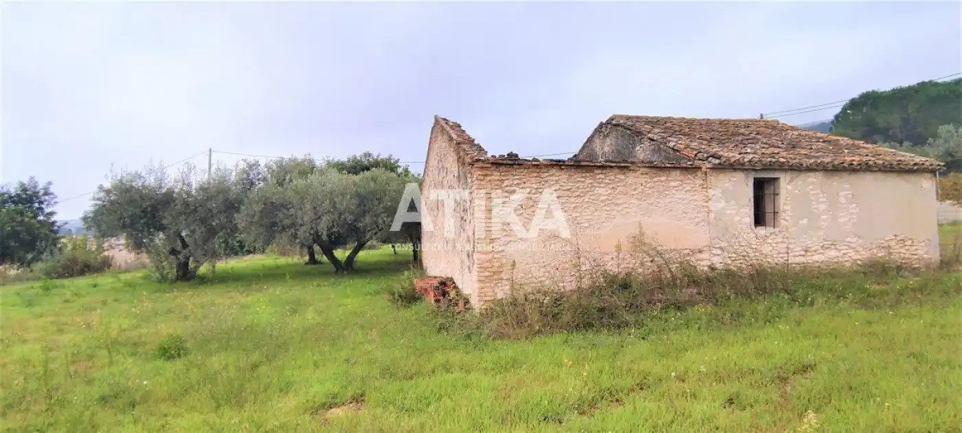 Terrain rustique à vendre à Centro, imagen 3