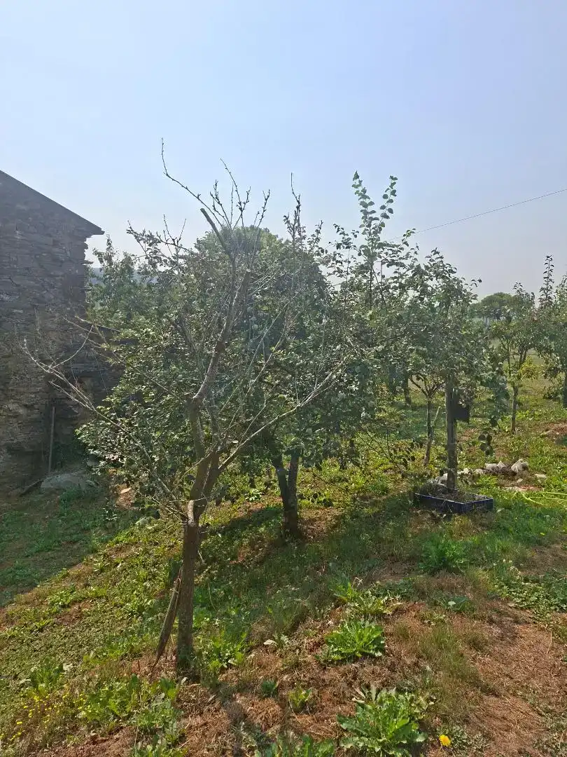 Finca rústica en venda en Baleira