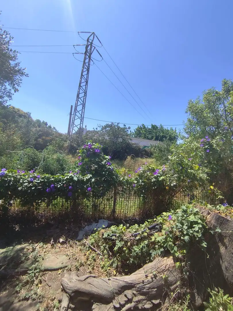 Terrenos y solares en venta en San García, imagen 4
