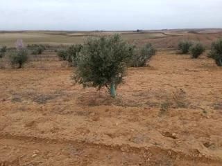 Residencial en venda en Horcajo de Santiago