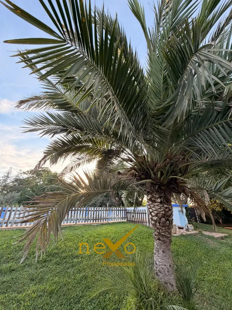 Chalet con piscina en venta en Carmona, imagen 6