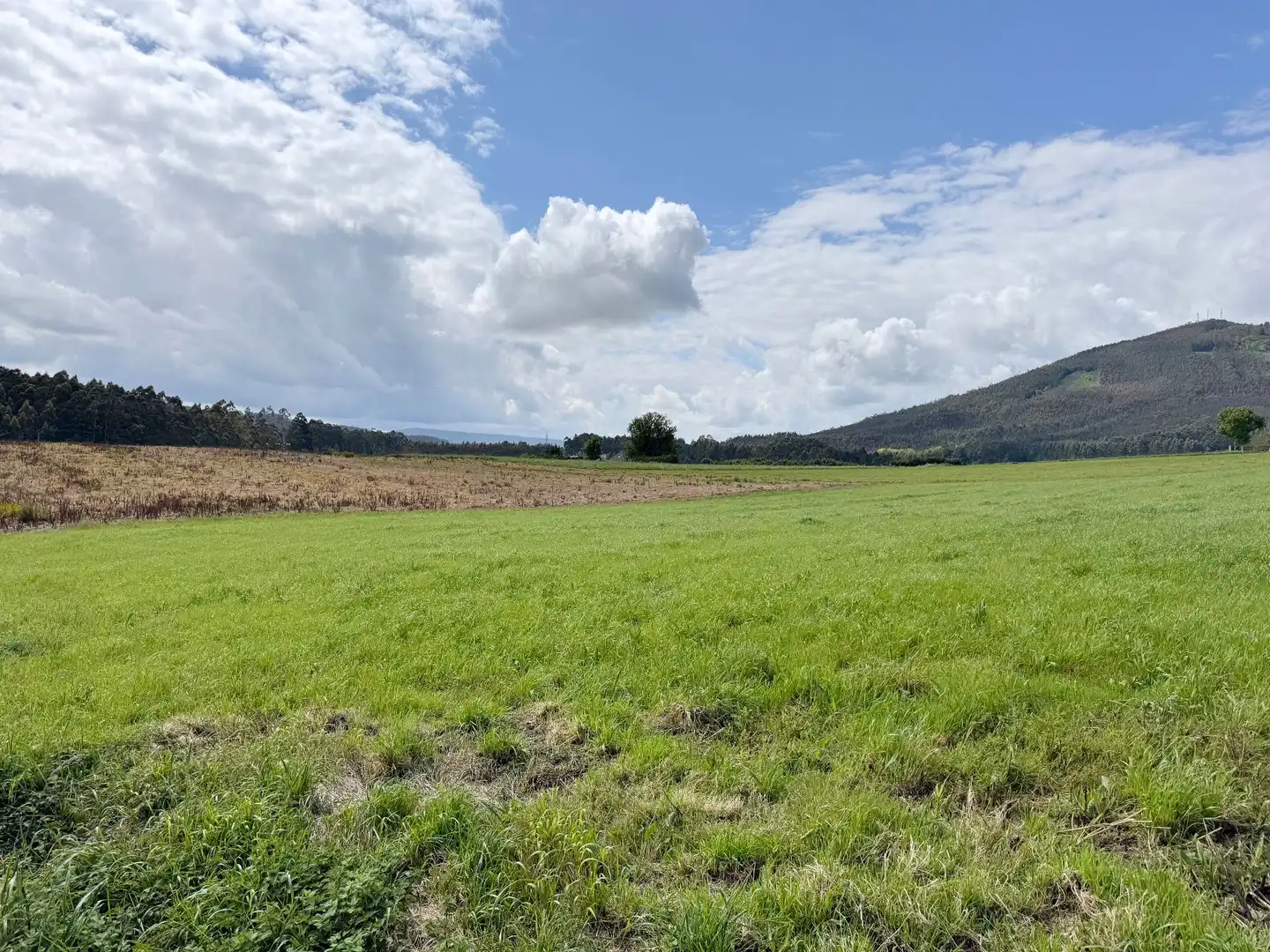Terreni e lotti in vendita a Lugar Veiga-Vilaronte, Polígono 2, Parcela 240, imagen 9