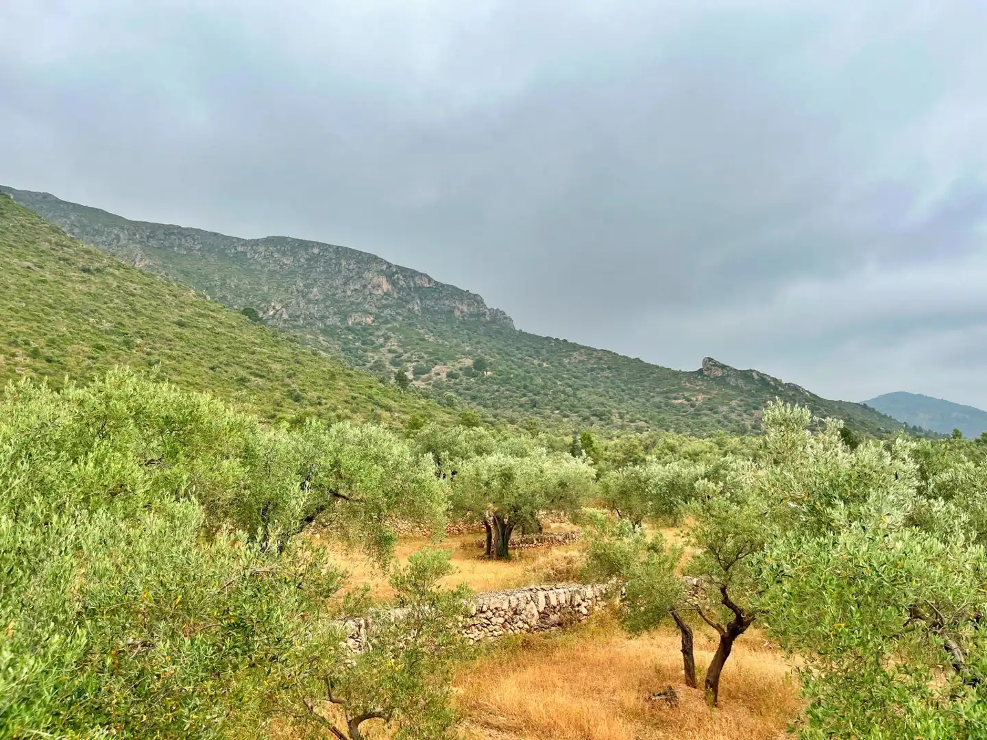 Villa avec jardin à vendre à Roquetes, imagen 32