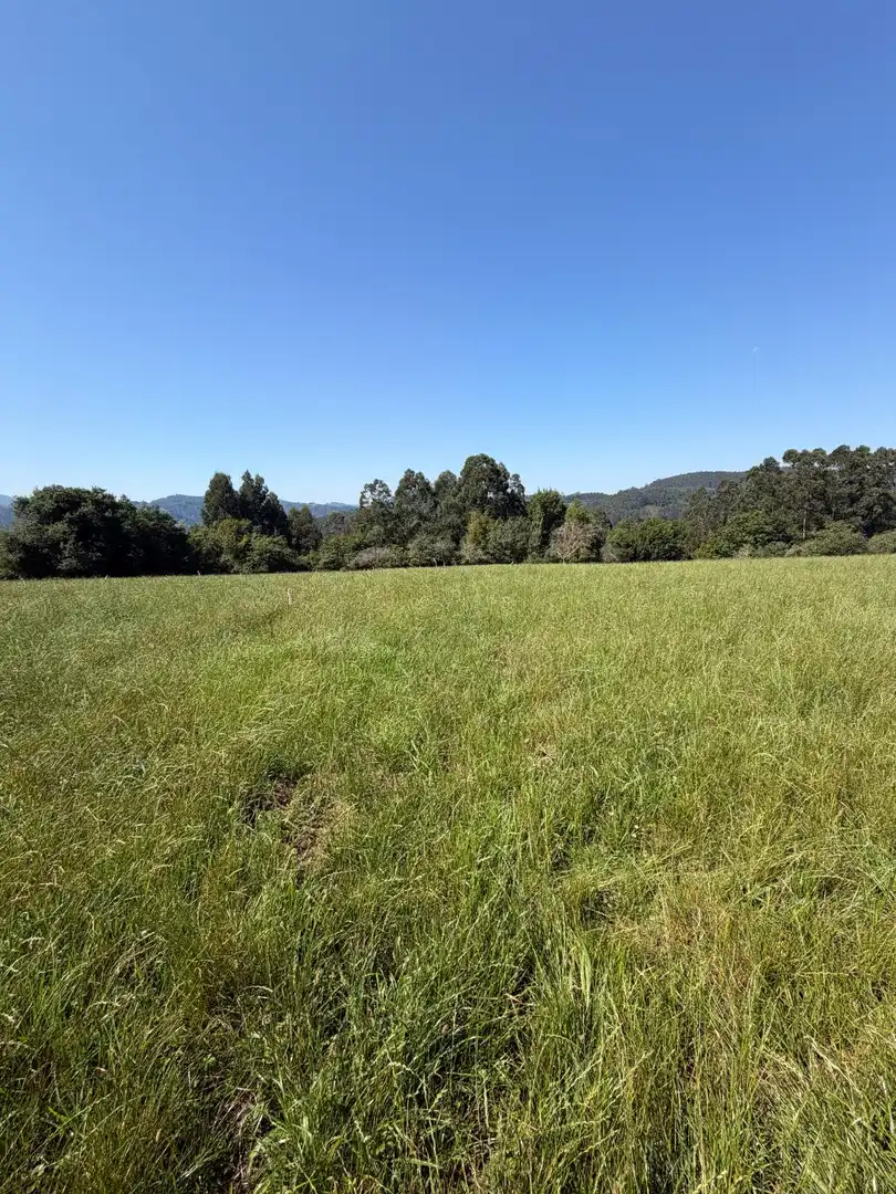 Residencial en venta en Colunga
