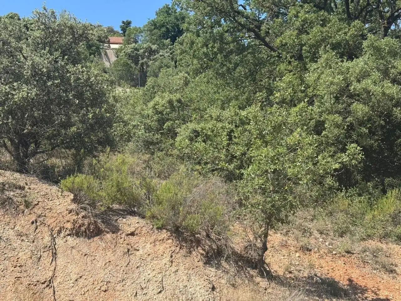Terrenos y solares en venta en Camino Palmeras, imagen 10