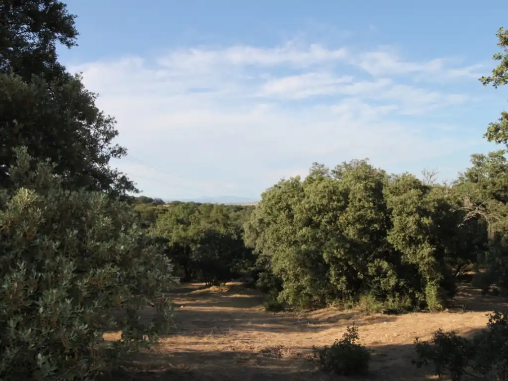 Residential land for sale in Ciudalcampo