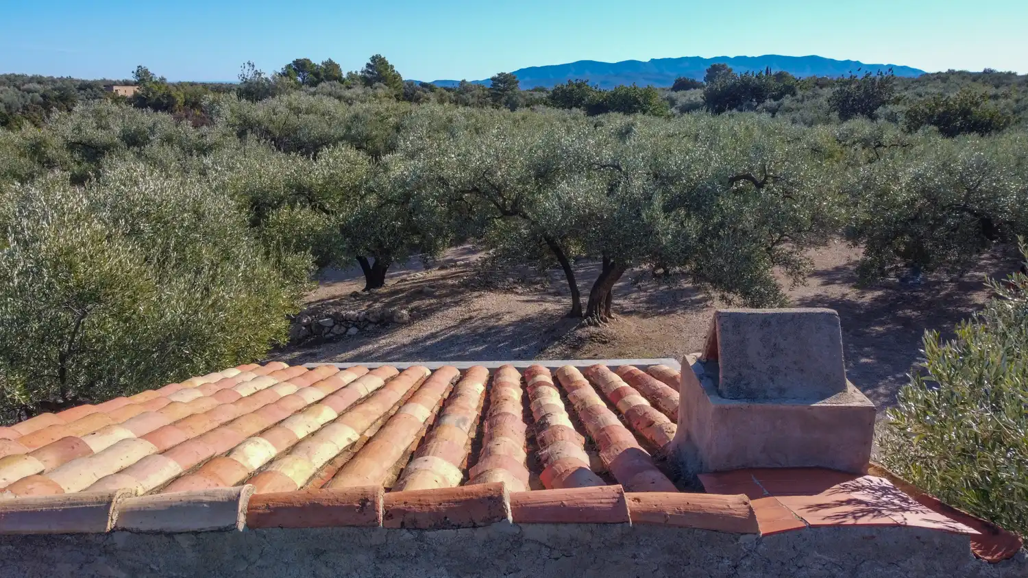 Jardín de Terreno en venta en Mas de Barberans