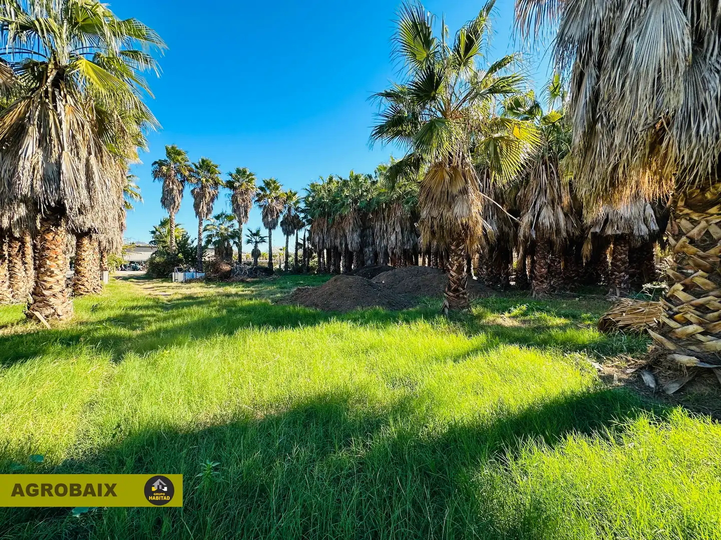 Terreno rustico in vendita a Eixample, imagen 35