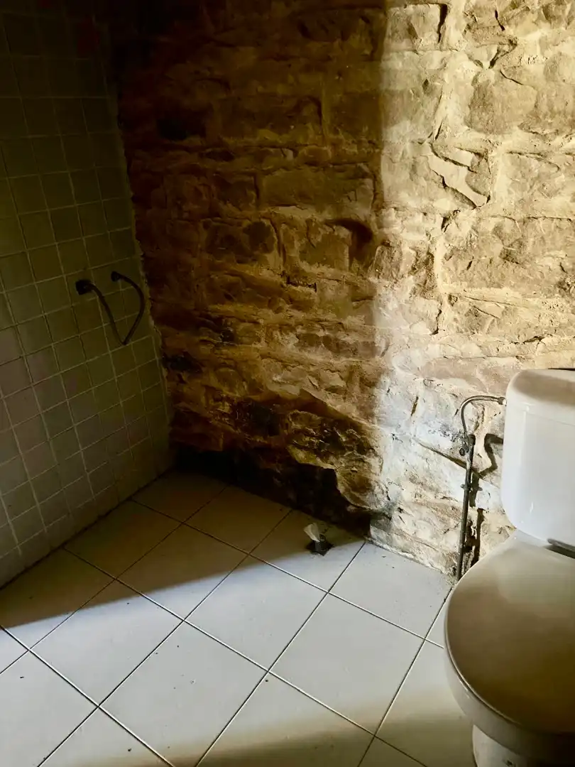 Finca rústica en venda en Barruelo de Santullán amb Parquet