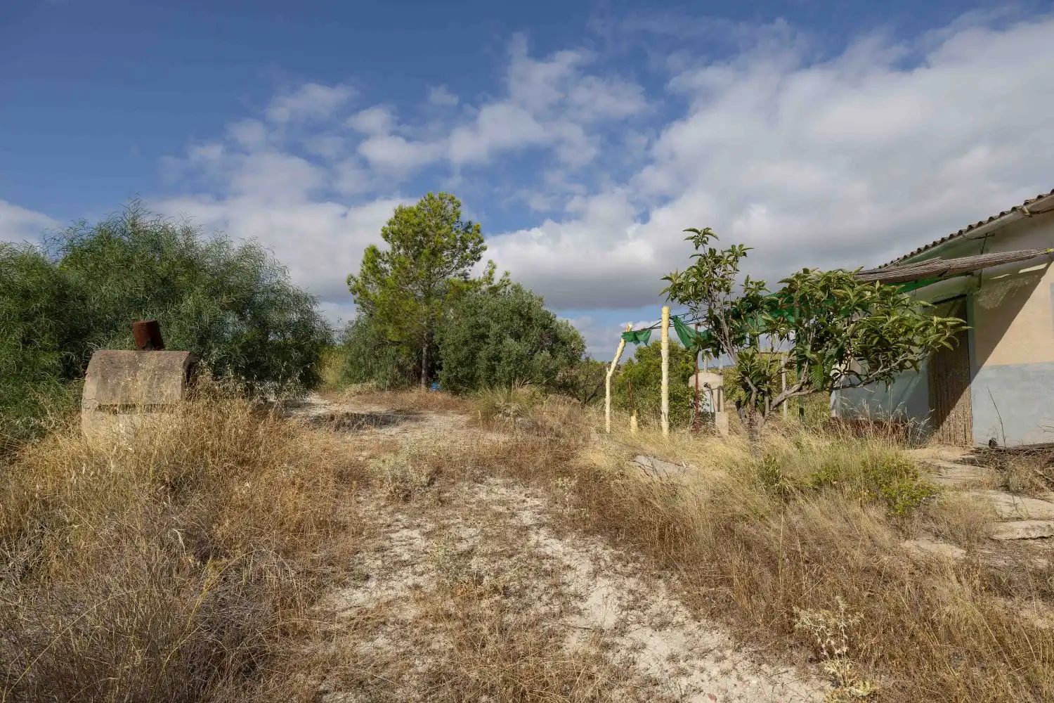 Finca rústica en venta en Mula