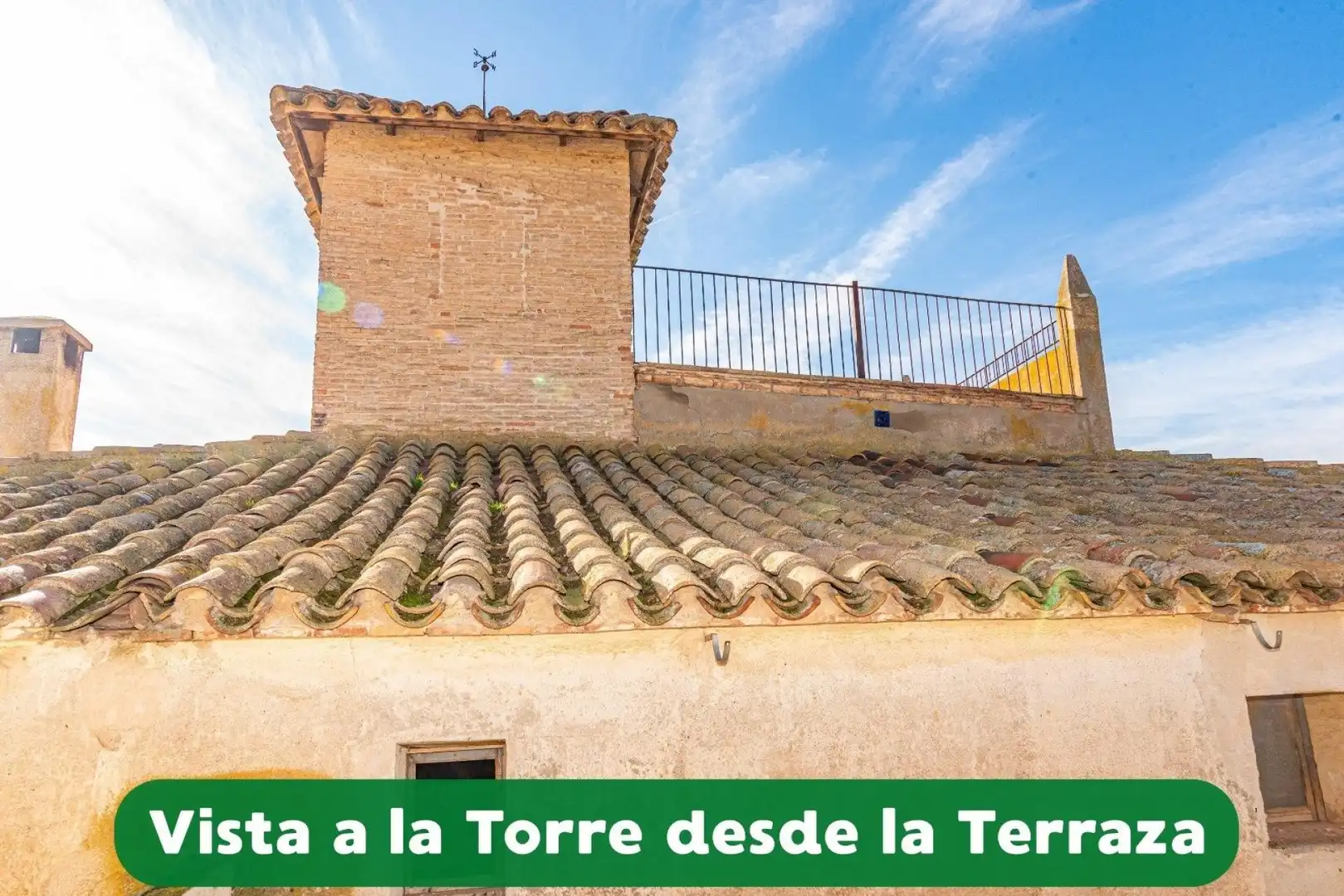 Garden of Country homes for sale in Lleida