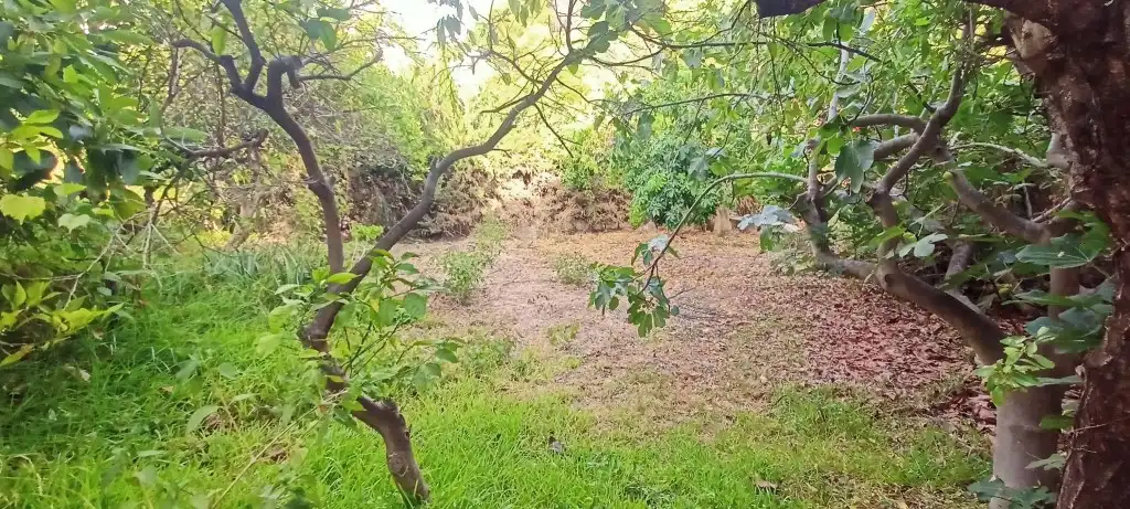 Terrain rustique à vendre à Caleta de Vélez, imagen 2