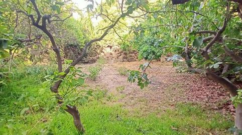 Photo 2 of Land for sale in Caleta de Vélez, Vélez-Málaga