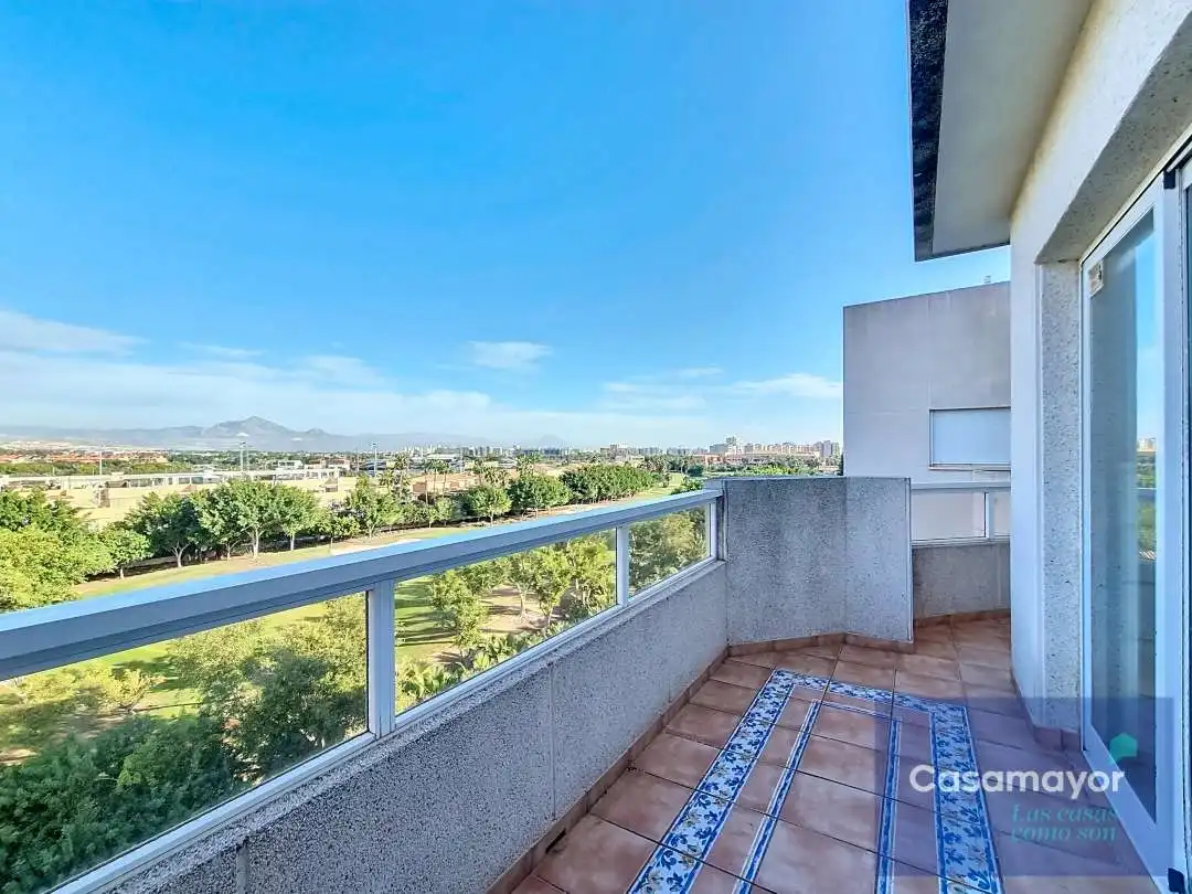 Ático con terraza en alquiler en Playa de San Juan - El Cabo de las Huertas, imagen 18