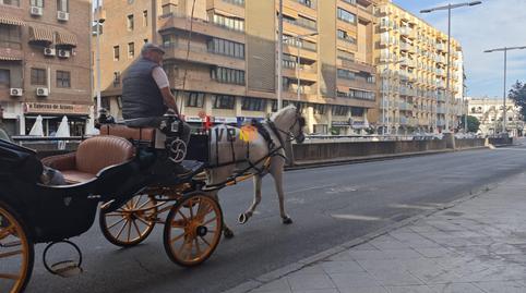 Photo 2 of Premises to rent in Arenal - Museo,  Sevilla Capital