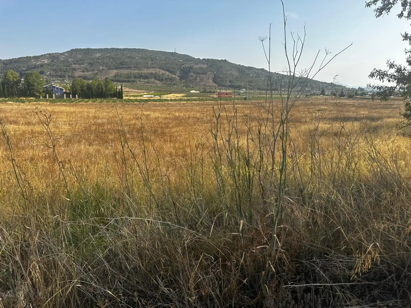 Residential land for sale in El Pinós / Pinoso, imagen 12