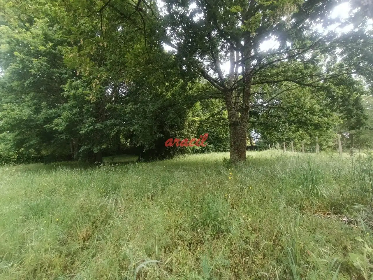 Casa rústica amb jardí en venda a Vilamarín, imagen 20