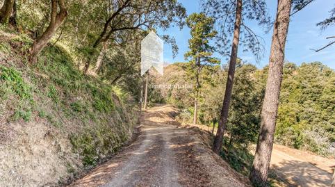 Foto 2 de Finca rústica en venda a Veinat de Hortsavinya, Tordera pueblo, Barcelona