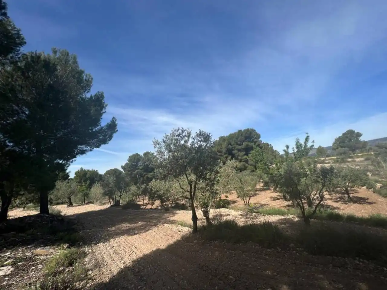 Chalet con jardín en venta en Calle Poligono, imagen 142