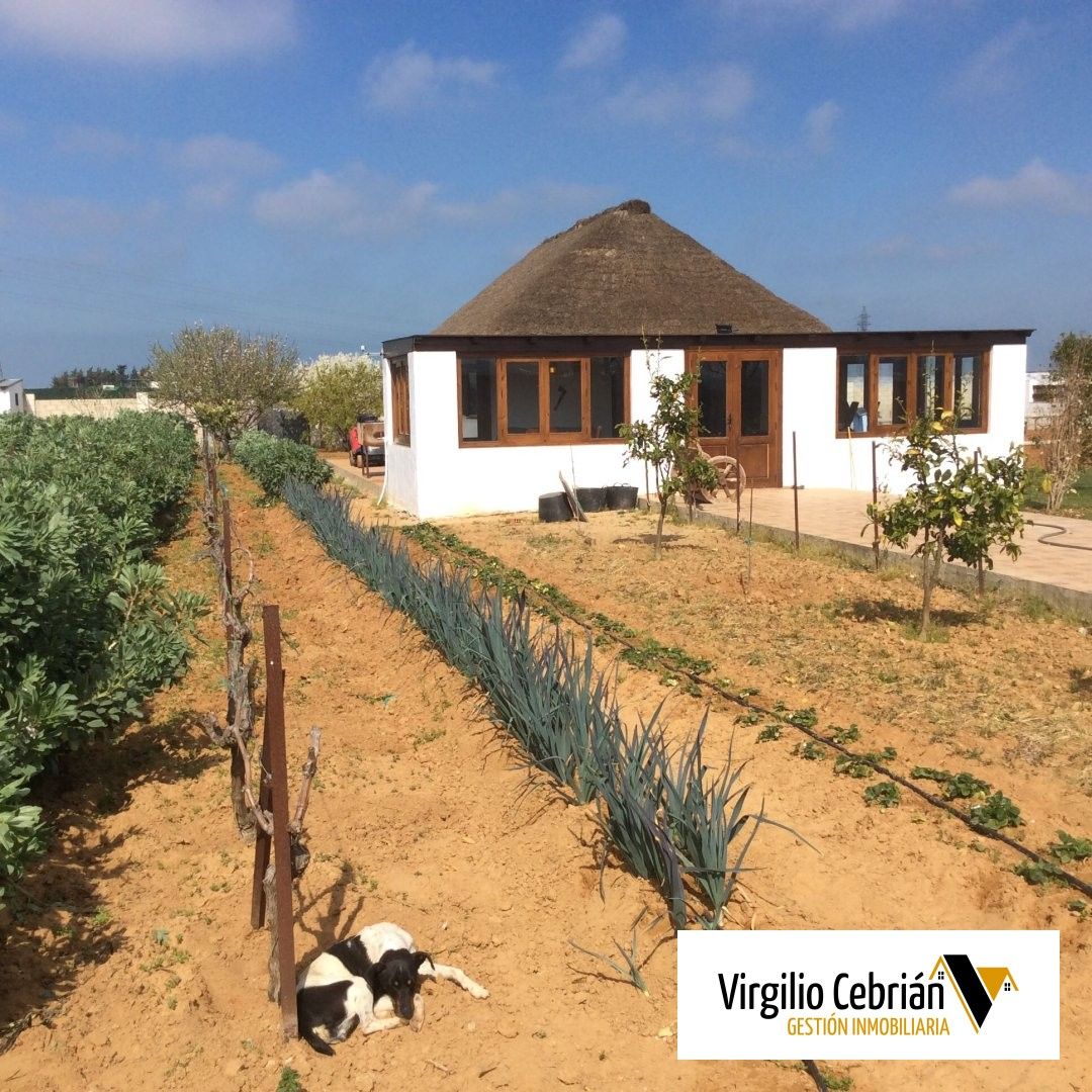 Garden of Country homes for sale in Chipiona