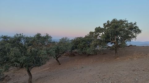 Finca Rústica en Alía Cáceres muy bonita con muchas posibilidades, imatge 2