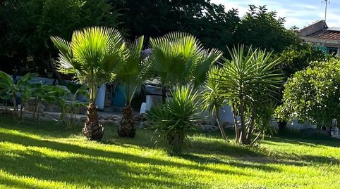Foto 4 de Casa o xalet en venda a Camarles, Tarragona