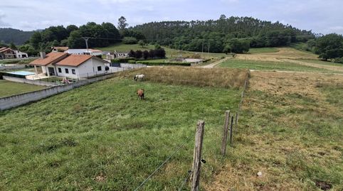 FANTASTICA FINCA EN VILLANUEVA DE LA PEÑA, MAZCUERRAS, immagine 2