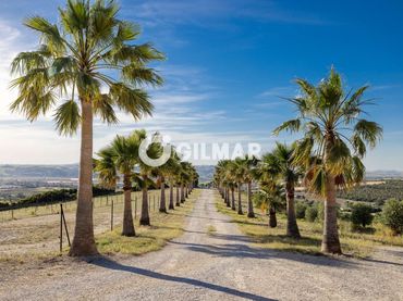 Villa con giardino in vendita a Arcos de la Frontera