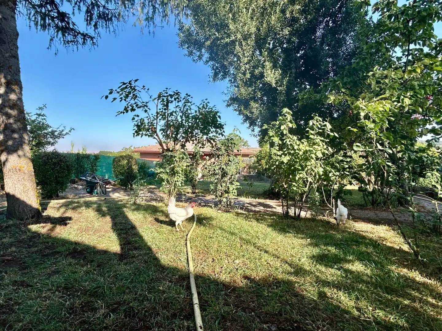 Casa o chalet de alquiler en Modúbar de la Emparedada con Calefacción, Terraza y Balcón
