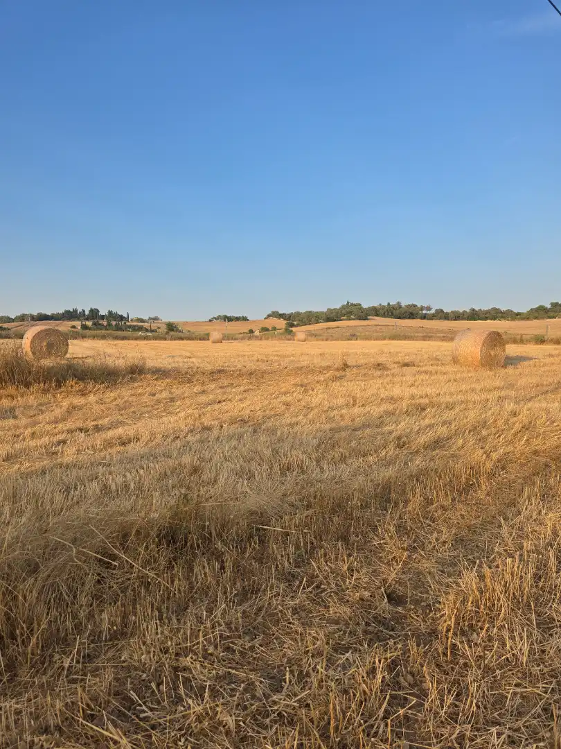 Terreno en venta en Petra