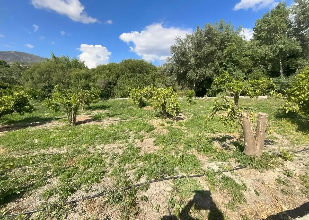 Terreni e lotti in vendita a Andalucia, imagen 9